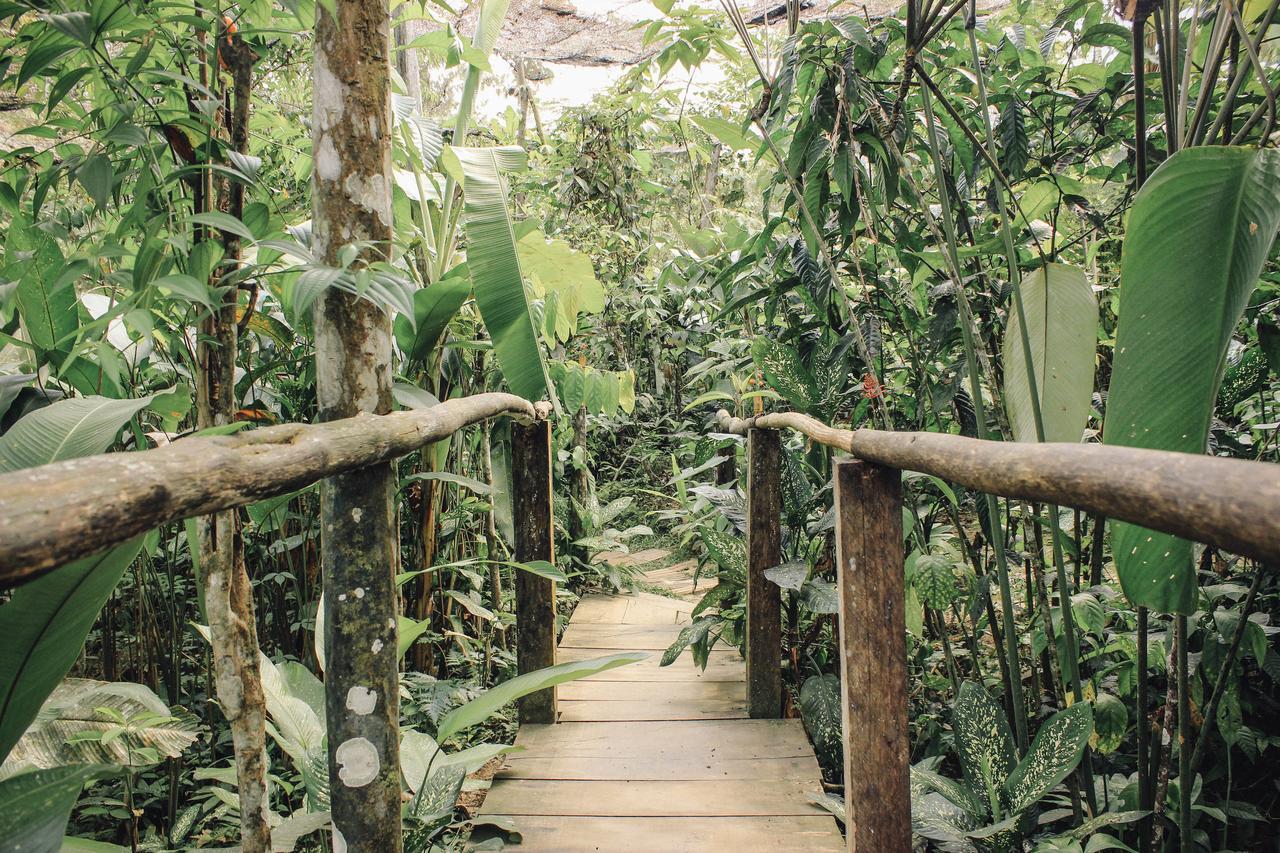 Libertad Jungle Lodge Yucuruche Екстер'єр фото